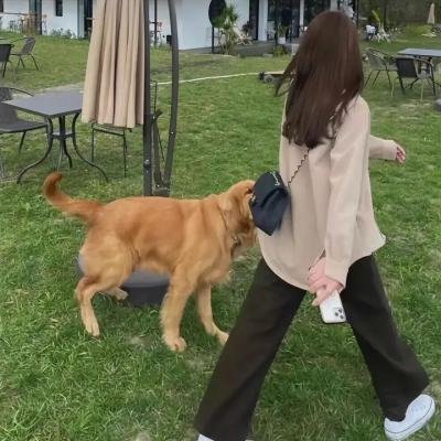 光荣时代
