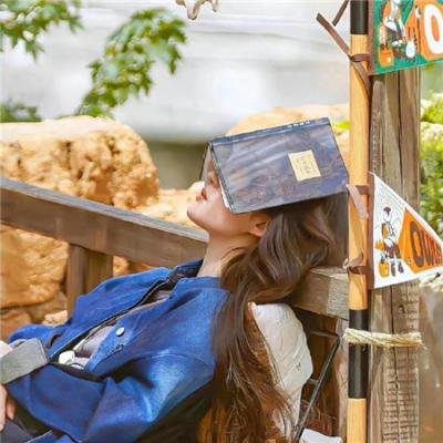 叶问：终极一战粤语