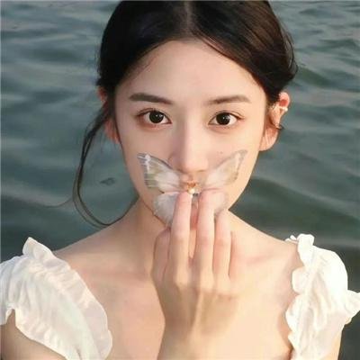 蝴蝶春梦